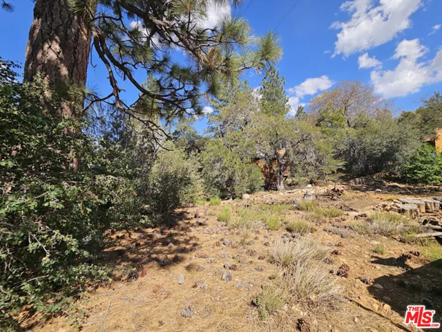 845 Moreno Lane, Sugarloaf, California 92386