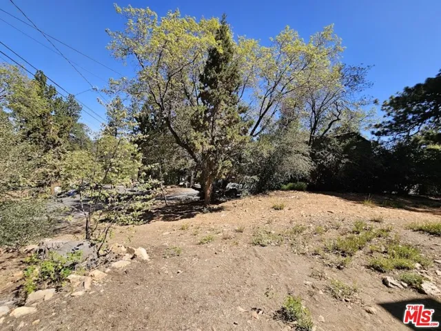 845 Moreno Lane, Sugarloaf, California 92386