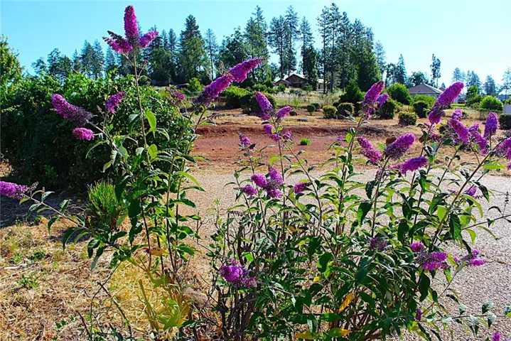 357 Valley View, Paradise, California 95969