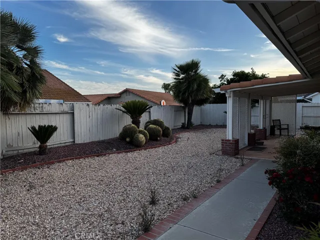 Backyard Barrel Cactus and Pation