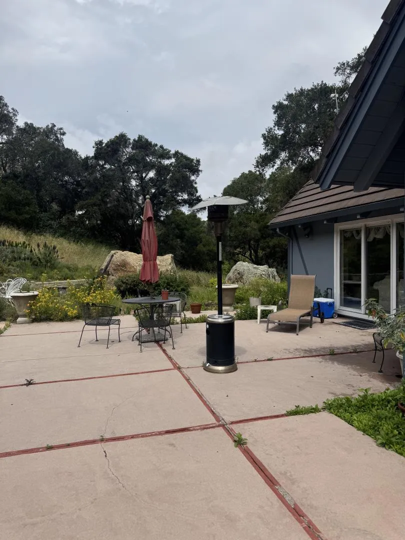 Back yard
