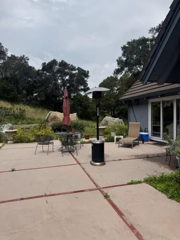 Back yard