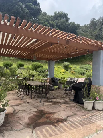 Back yard