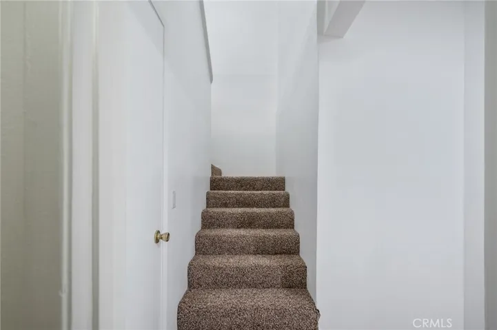 Brand new carpet in stairway