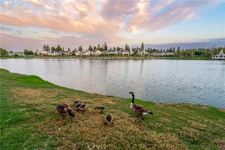 492 E Yale Loop, Irvine, California 92614