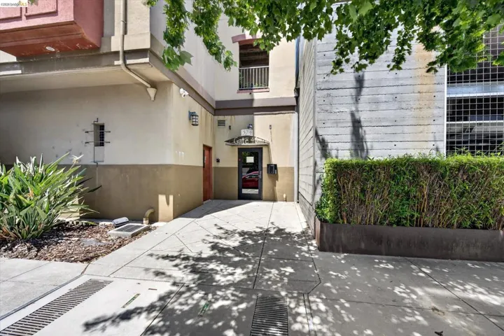 Concrete and stucco exterior featuring a metal planter with established greenery, a modern glass entry door, and a street-level concrete walkway