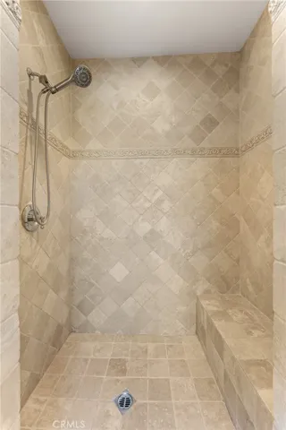 Primary Bathroom Shower