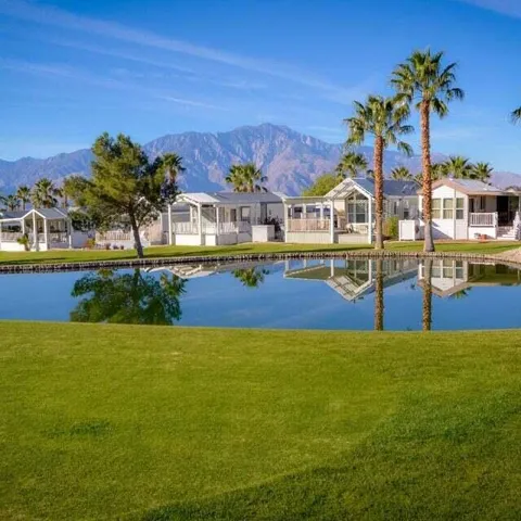 Pond