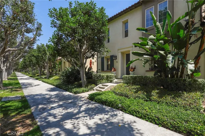 74 Vintage, Irvine, California 92620