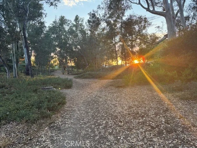 Neighborhood trails