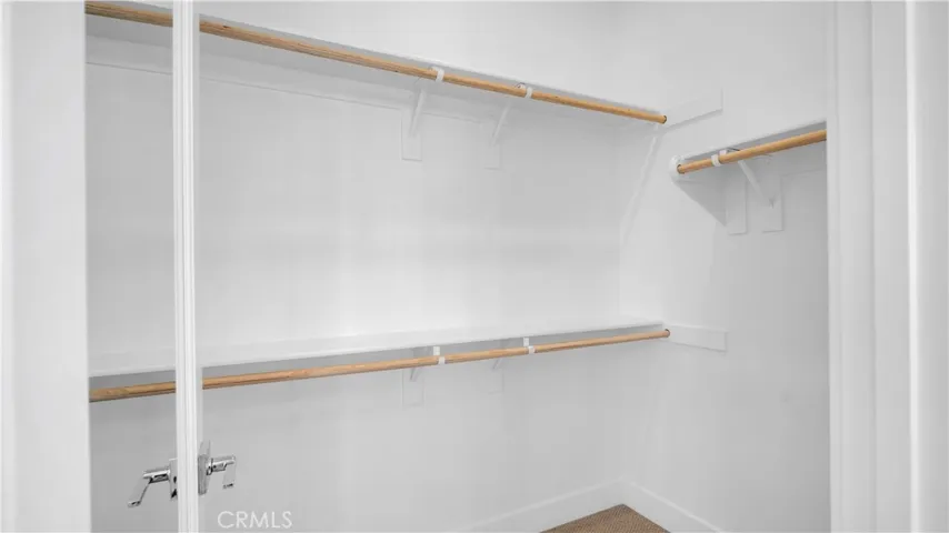 Primary Walk-In Closet #2