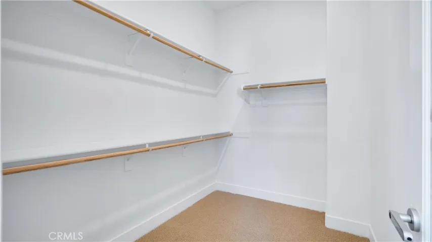 Primary Walk-In Closet #1