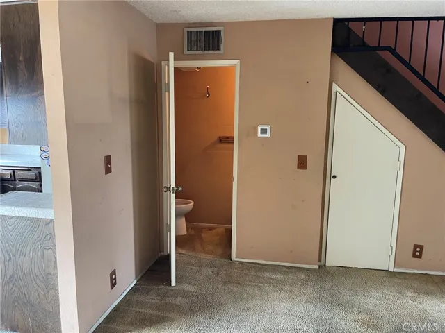 l1st floor powder room and under stair storage area