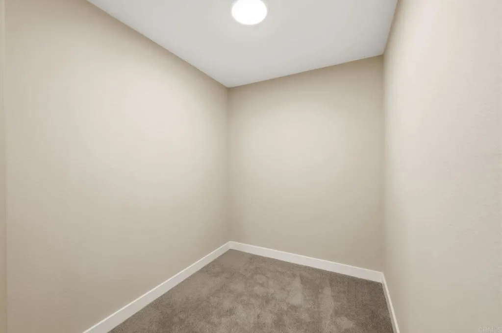 Primary Walk-in Closet