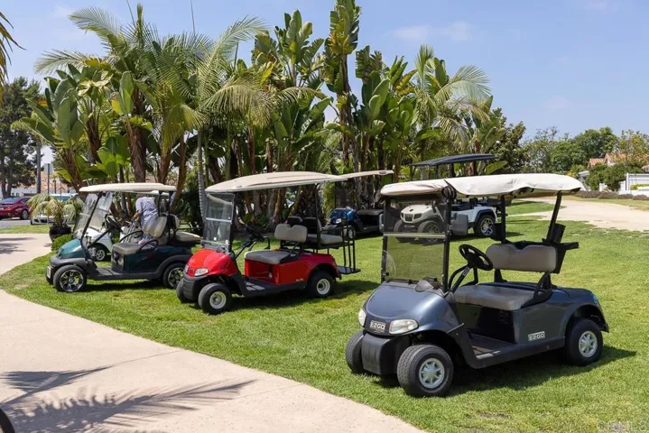 Golf Cart Community