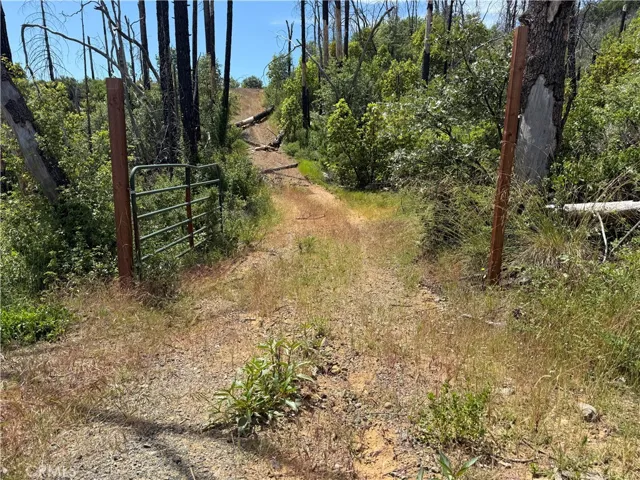 driveway to property