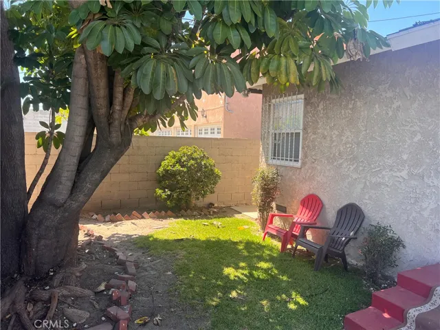 Rear Yard