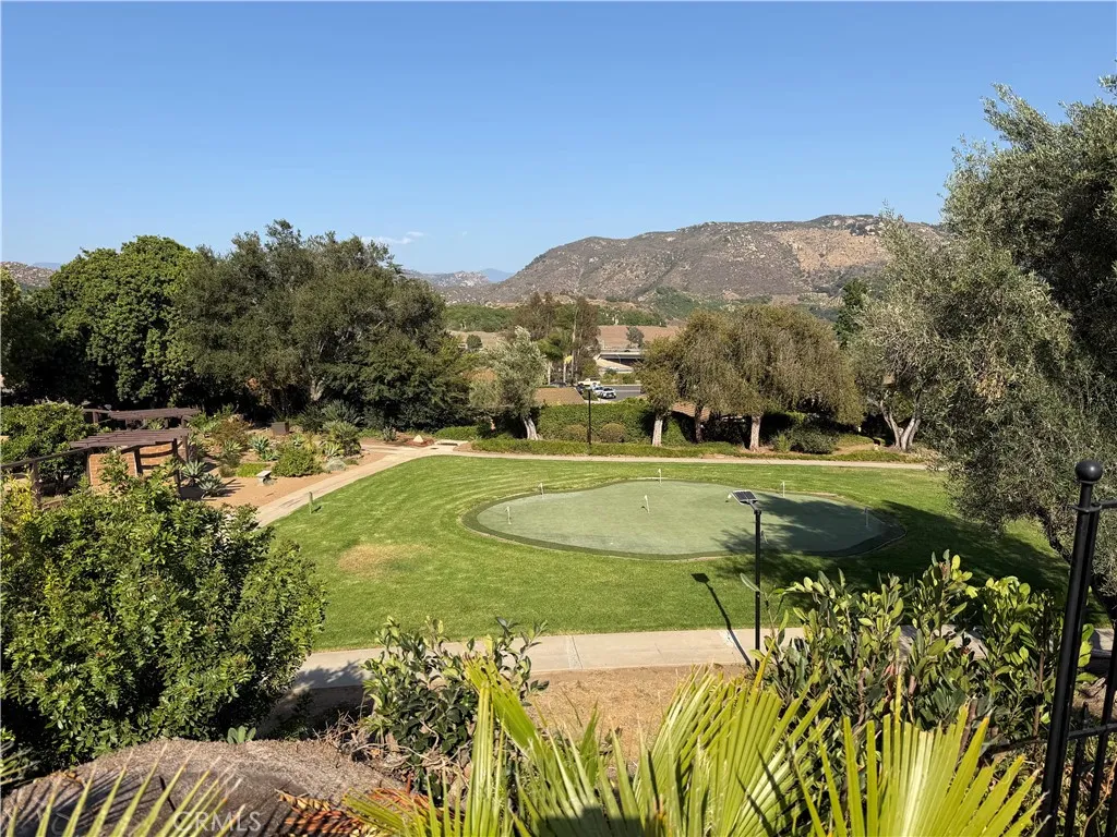 Views Backyard