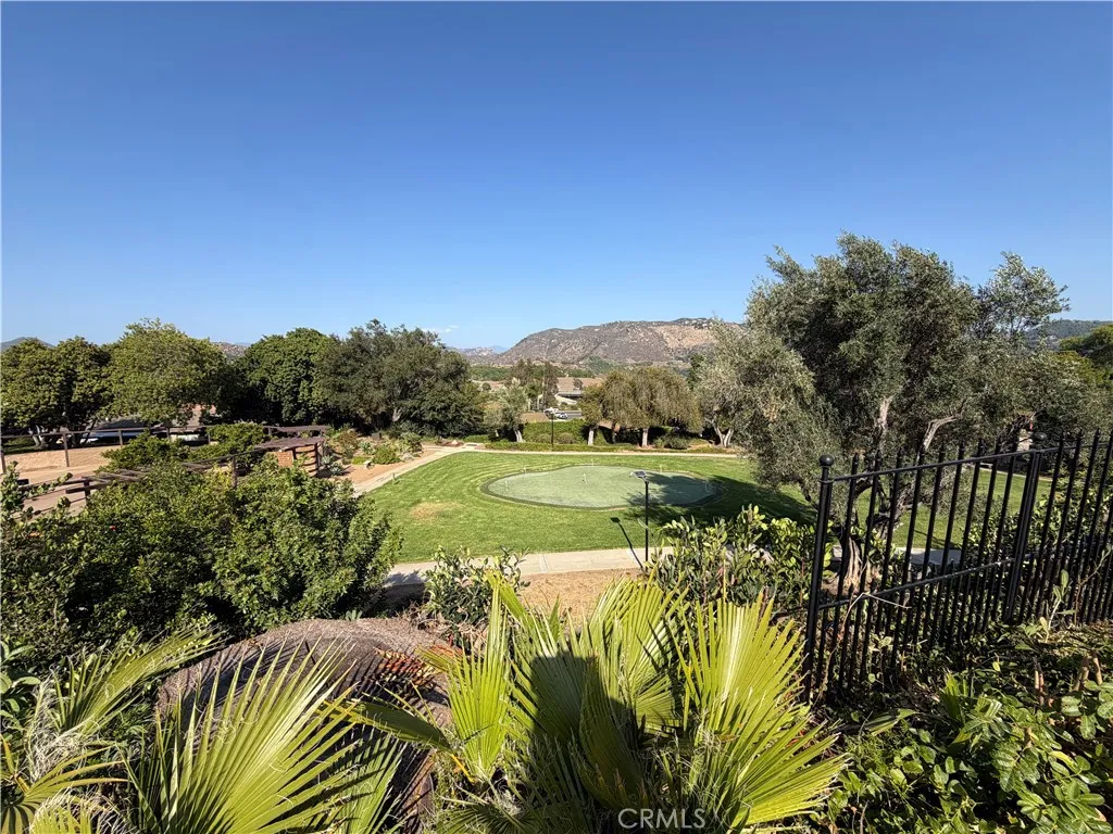 View from Backyard