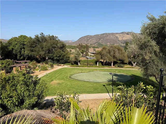 Views Backyard