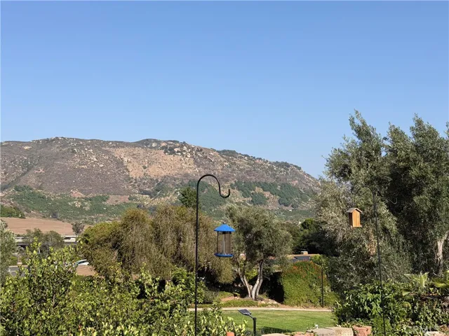 Views from the Backyard