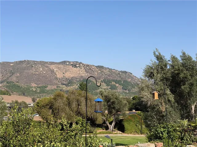 Views from the Backyard