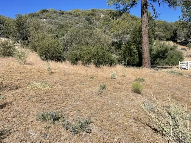 Lot 17 6