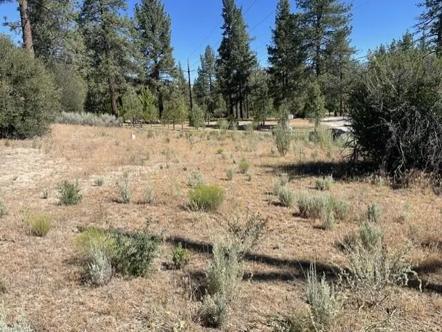 Lot 17 10