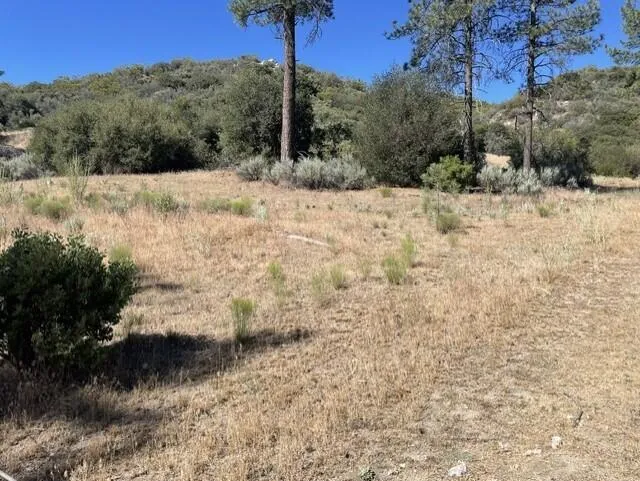 Lot 17 13