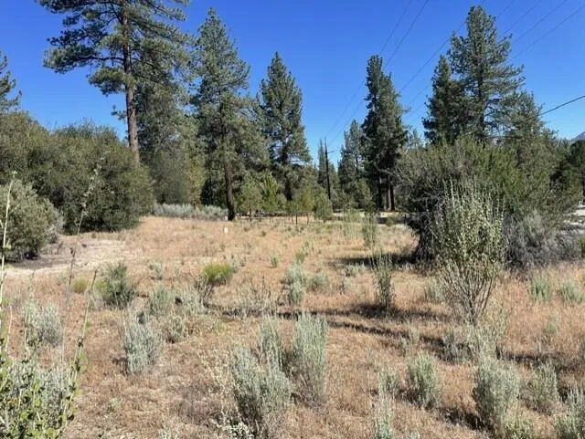 Lot 17 1
