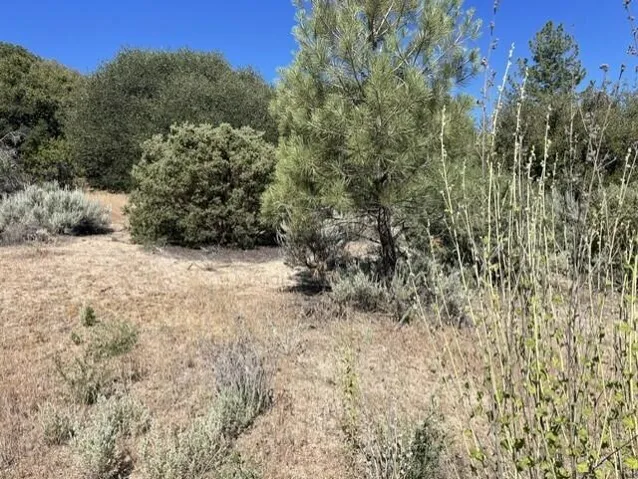 Lot 17 2
