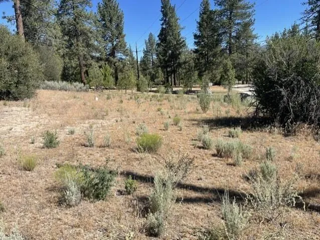 Lot 17 10