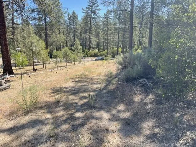 Lot 17 5