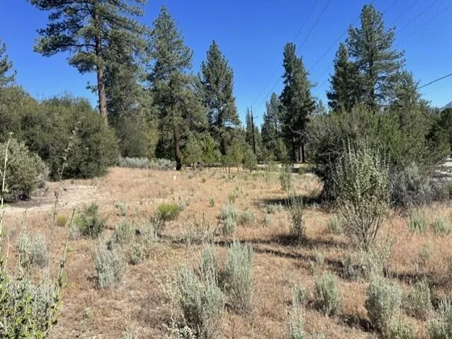Lot 17 1