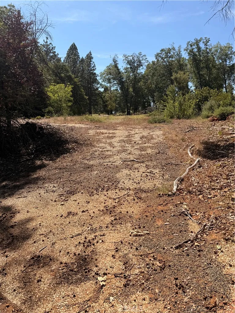At bottom of driveway looking up towards property