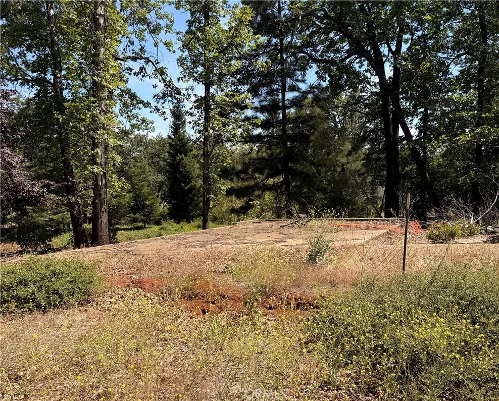 Middle of property looking towards road