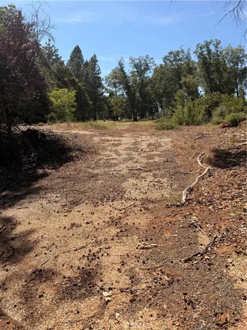 At bottom of driveway looking up towards property