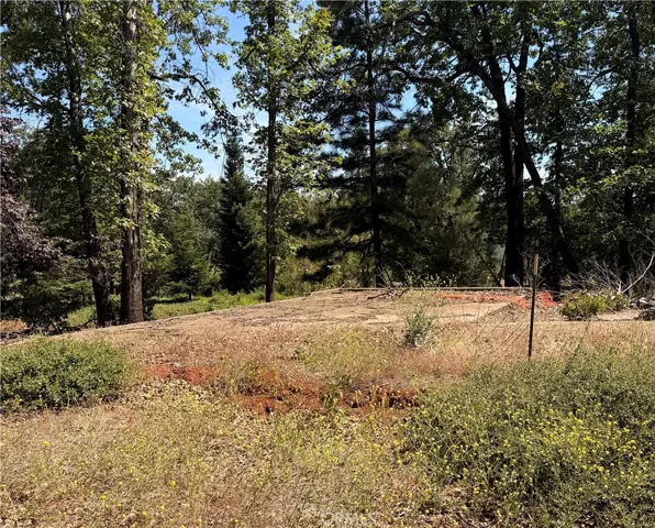 Middle of property looking towards road