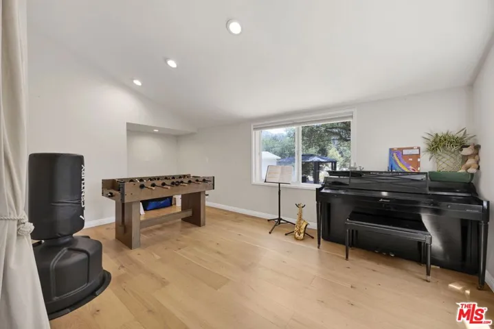 bedroom/entertainment room