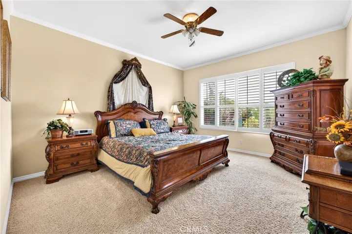 Primary Bedroom with View