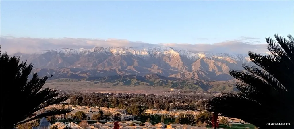 View from Back Yard