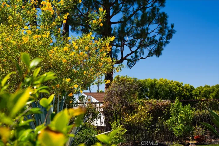 28461 La Falda, Laguna Niguel, California 92677