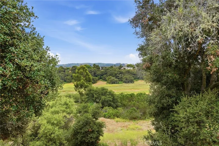 Wooded Area View From Back Of Property