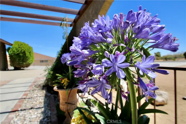 7376 Victoria, Yucca Valley, California 92284