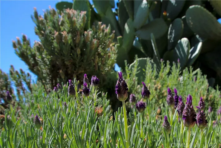 7376 Victoria, Yucca Valley, California 92284