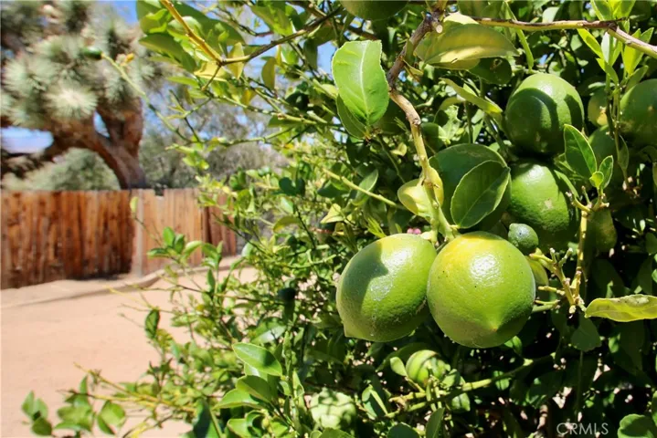 7376 Victoria, Yucca Valley, California 92284