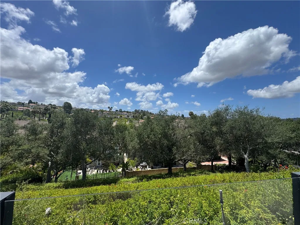 Backyard View is amazing!