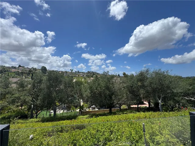 Backyard View is amazing!