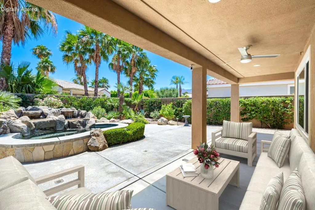 backyard3