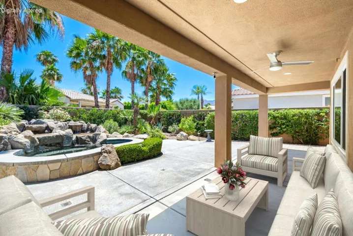 backyard3